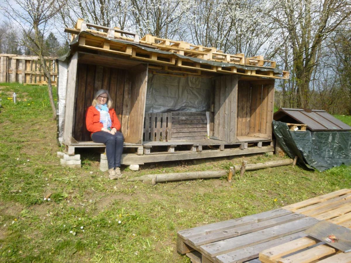 Herberge Markdorf Eksteriør bilde